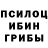 Псилоцибиновые грибы Cubensis Carolin Bitkov