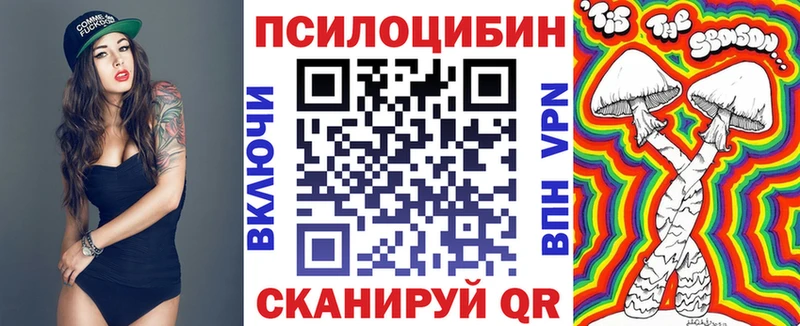 купить наркоту  Сланцы  omg tor  Галлюциногенные грибы Psilocybine cubensis 