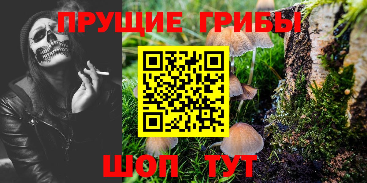 Псилоцибиновые грибы Magic Shrooms Сланцы