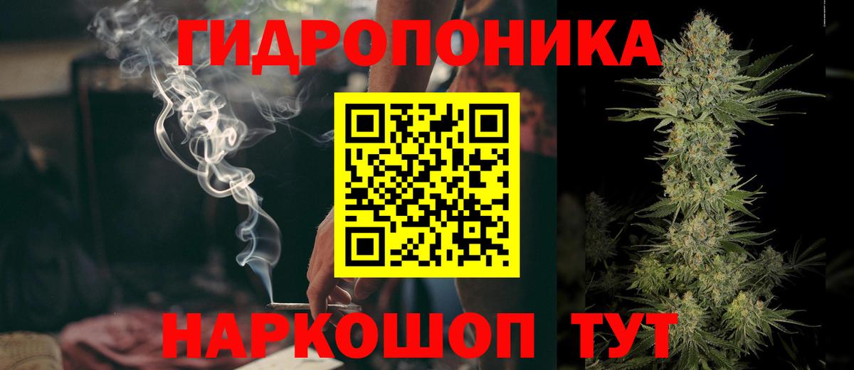 Сланцы  Бошки марихуана ГИДРОПОН  Бошки марихуана семена  Шишки марихуана OG Kush  МАРИХУАНА гибрид  Вход с VPN 